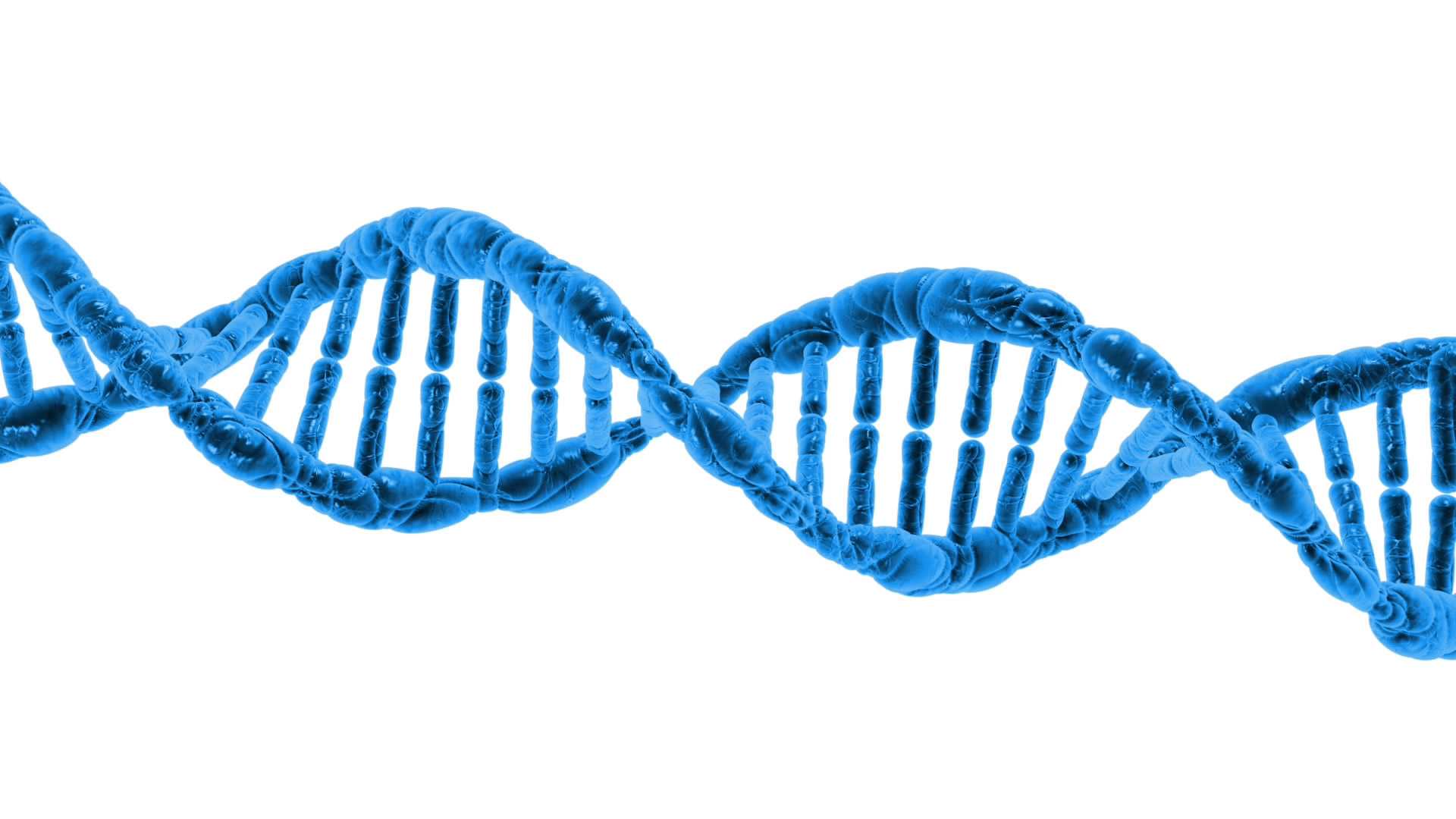 A blue, computer-generated rendering of a DNA strand.