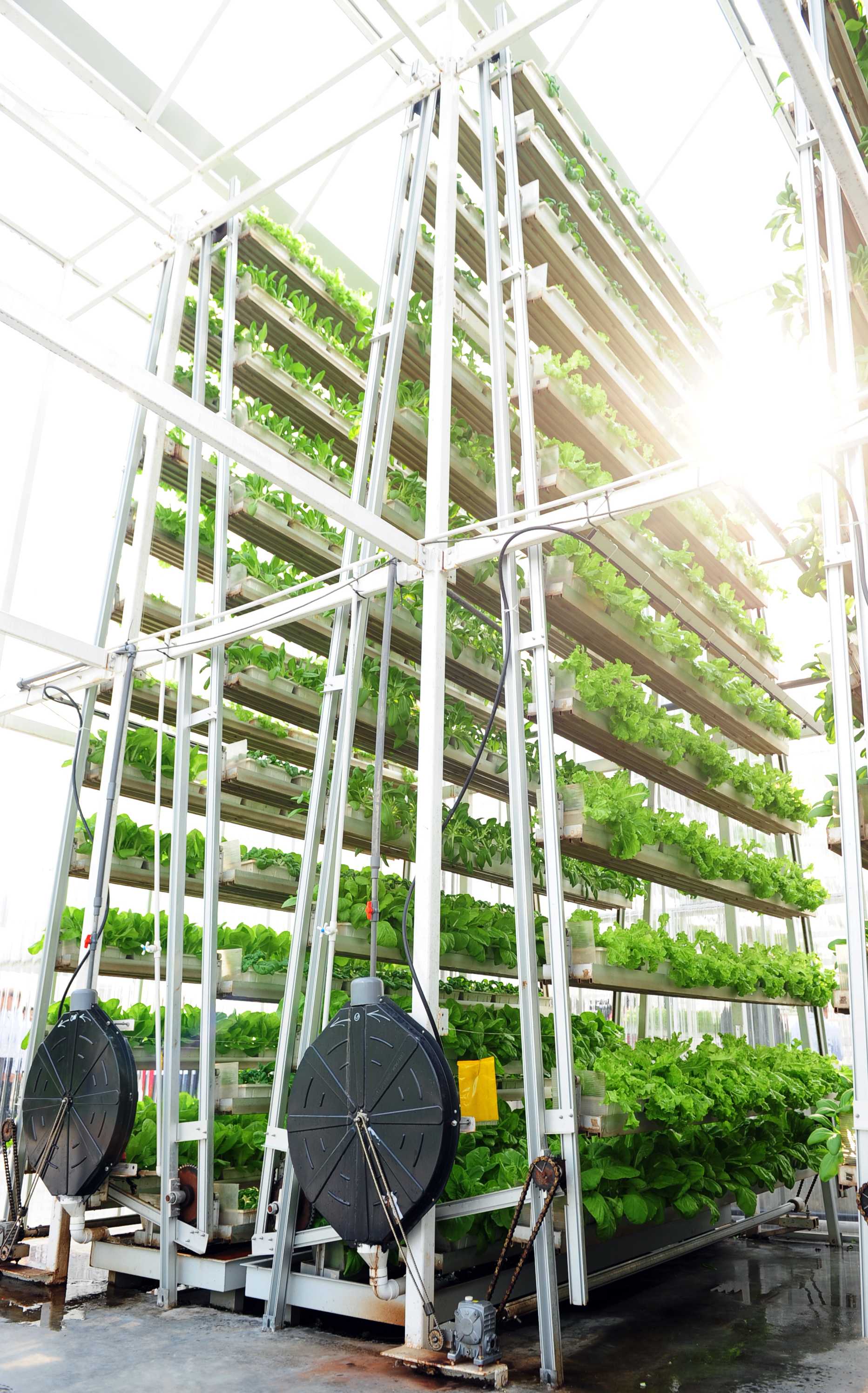 An indoor vertical farm.