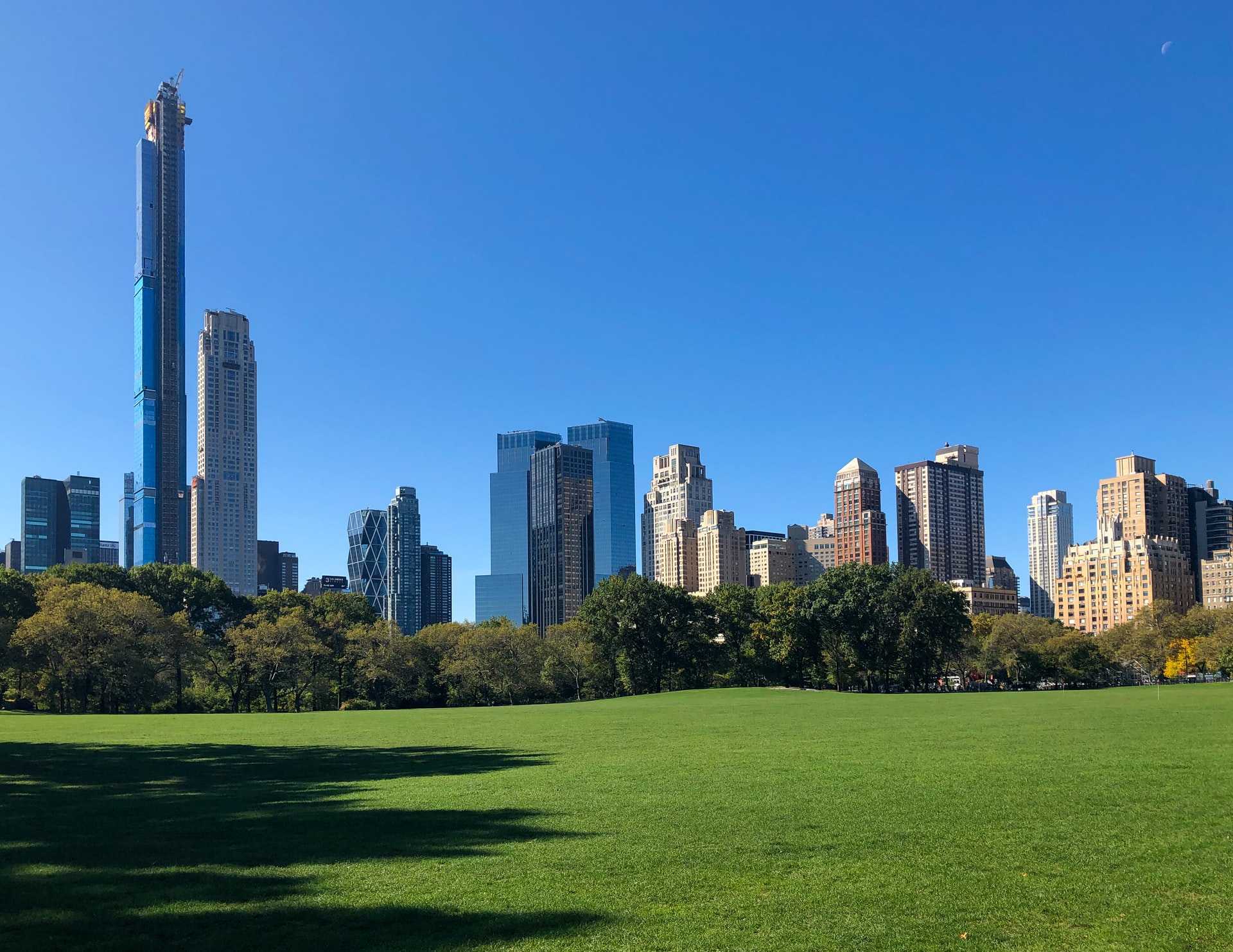 The skyline rises behind Central Park in New York City.
