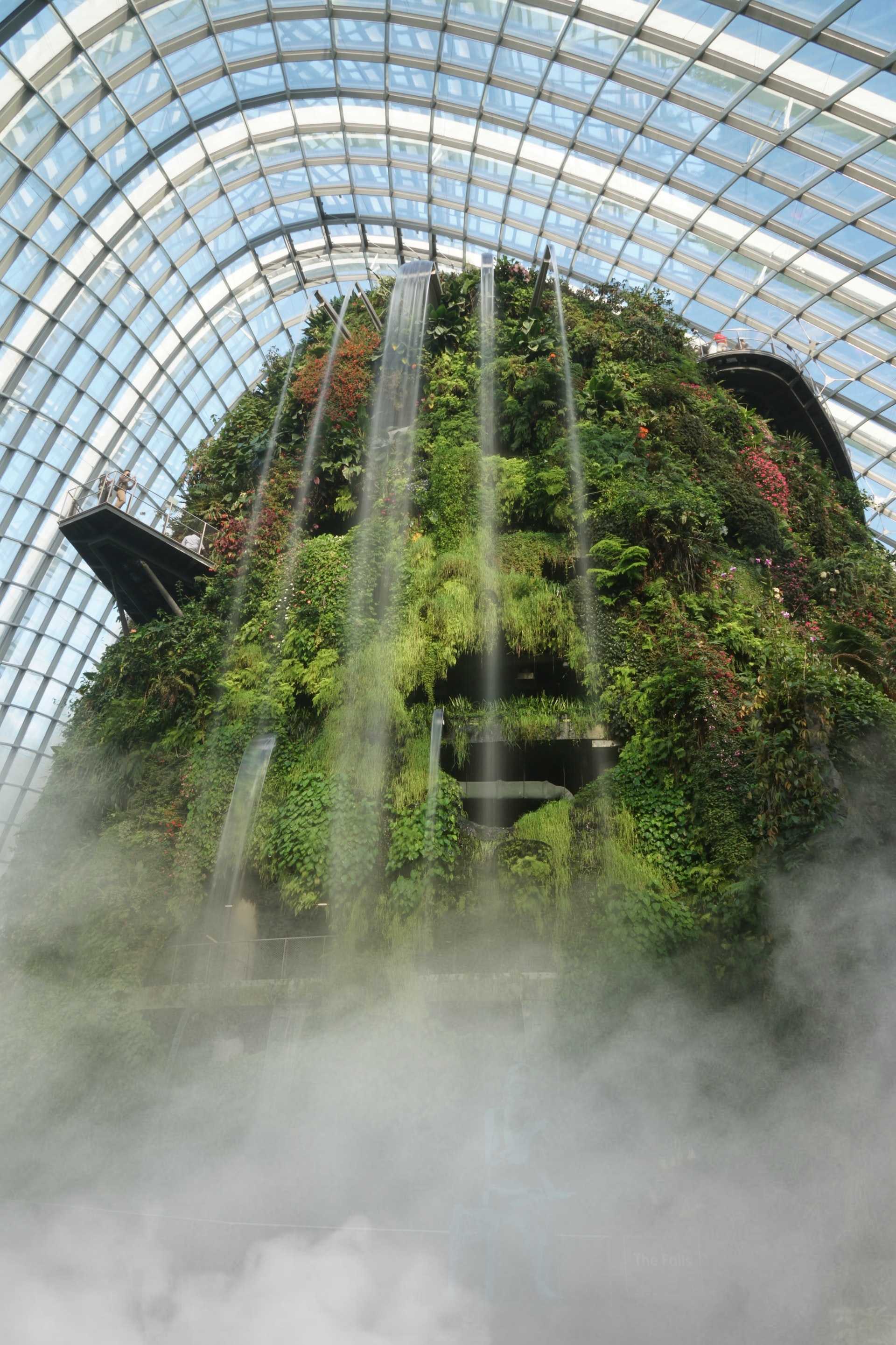 A large indoor green wall rises under a glass ceiling.