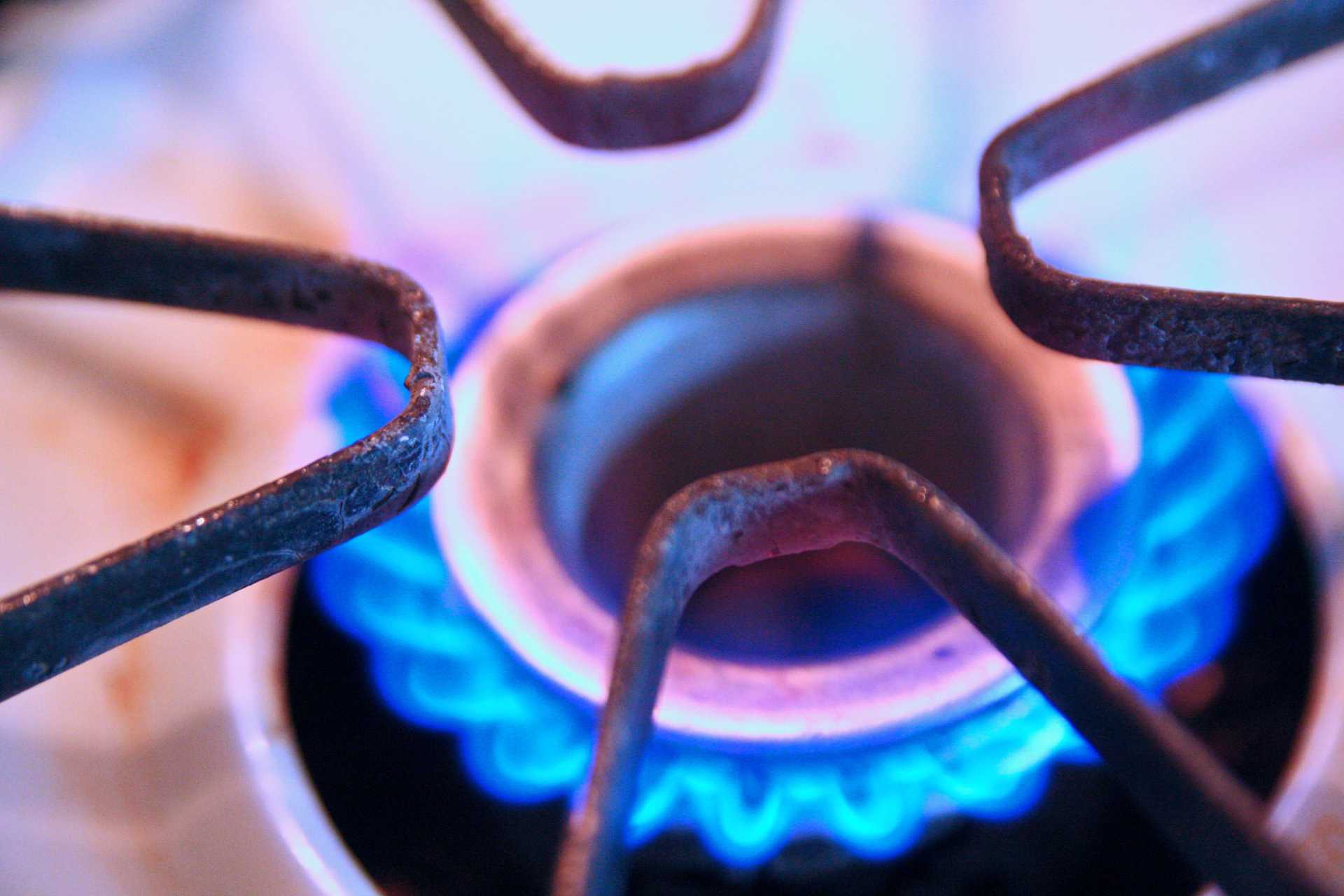 Closeup of a gas stovetop burner.