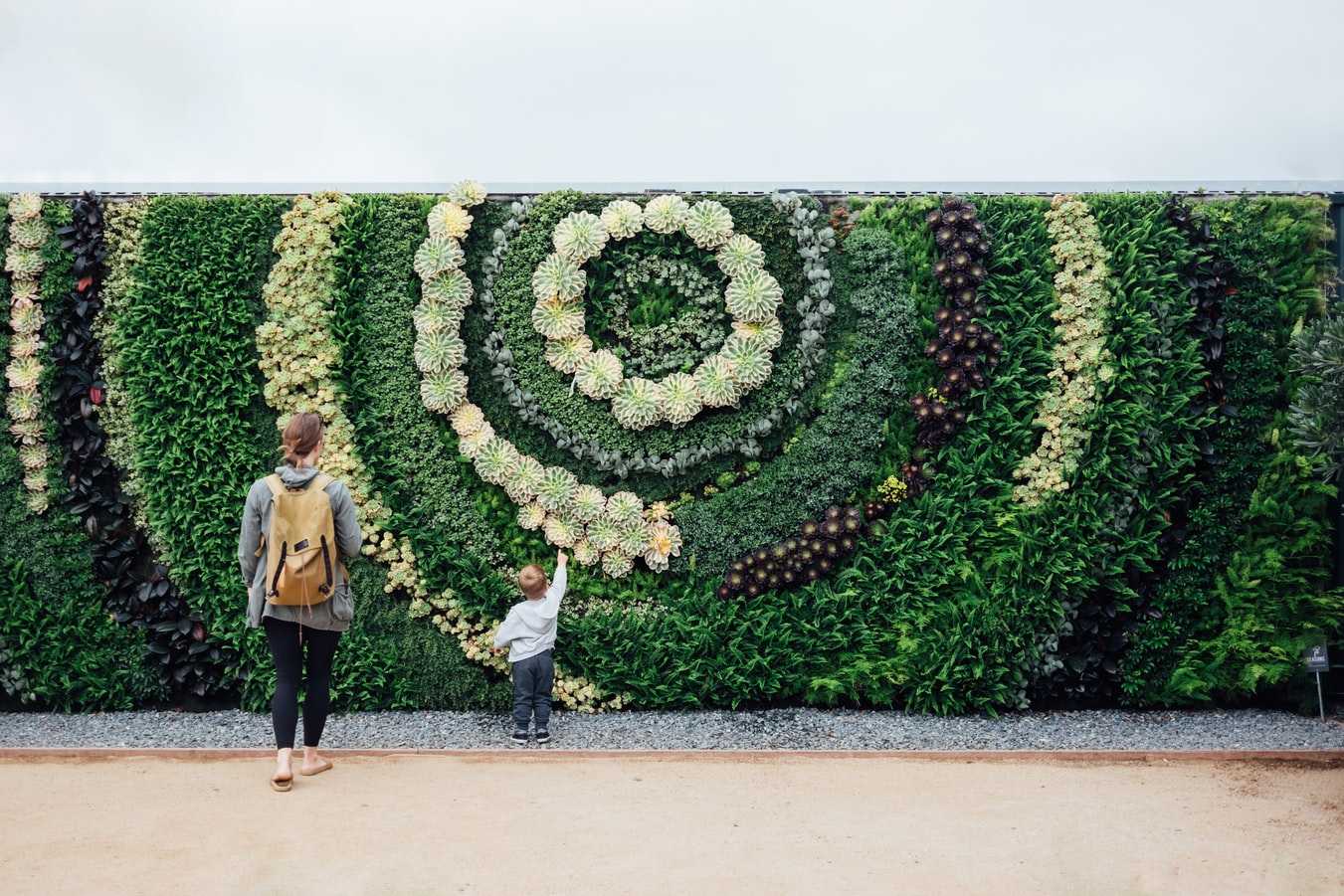 A child touches a green wall with a circular-shaped planting.