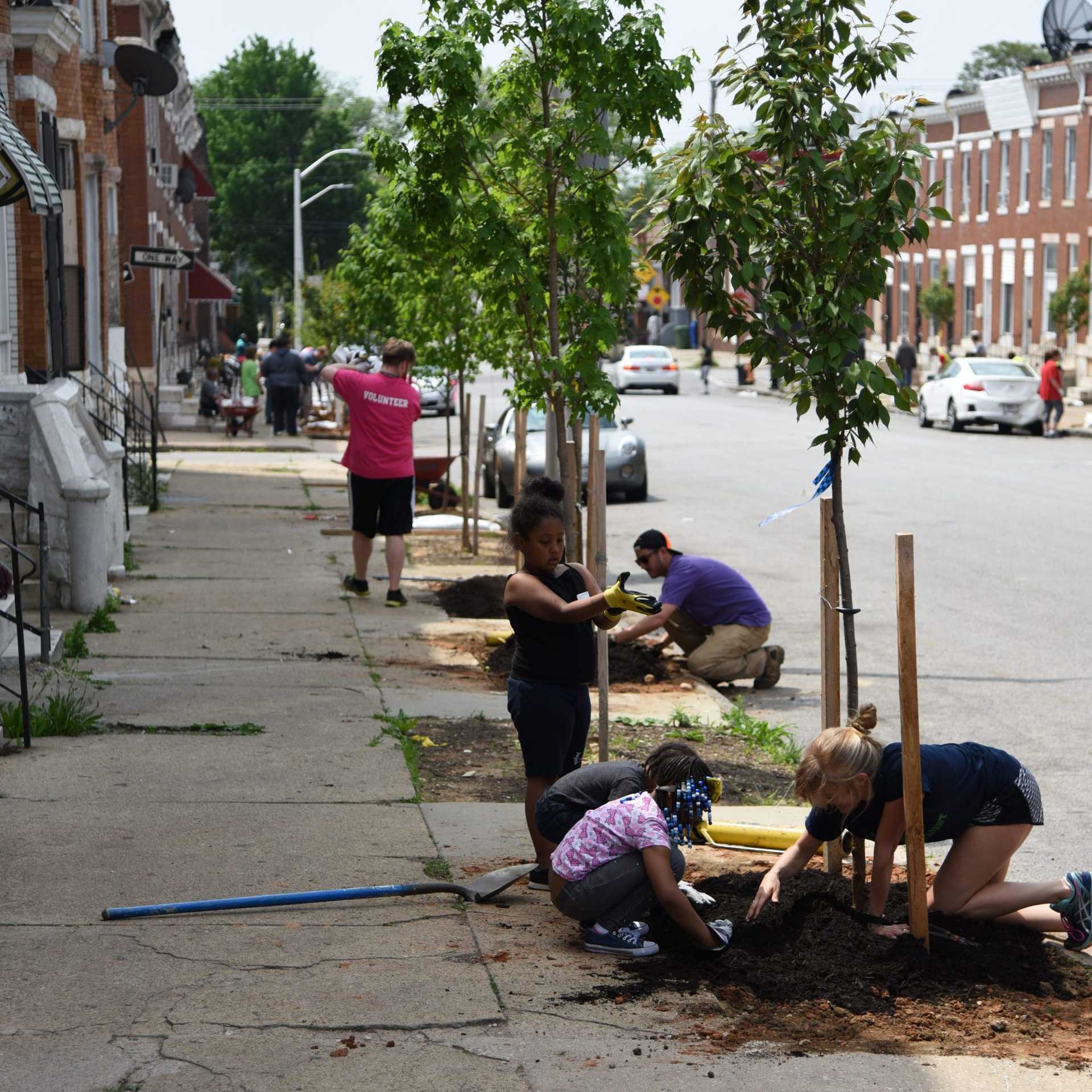Residents plant trees on a street in Baltimore.